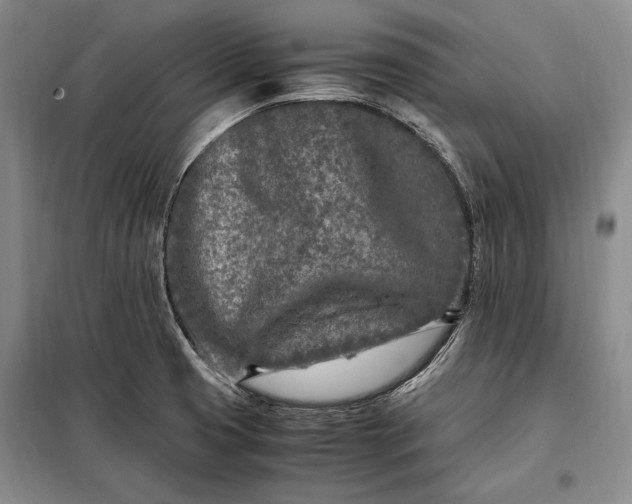 X0000098121425200804181508