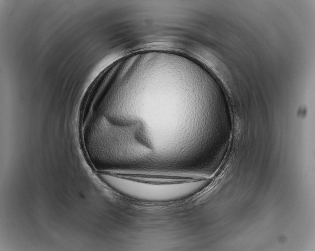 X0000098121426200804181508