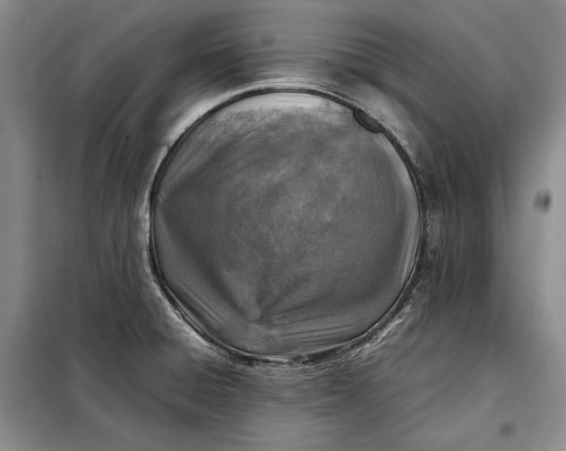 X0000098121428200804181508