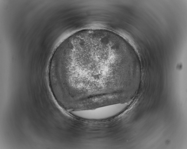 X0000098121429200804181508