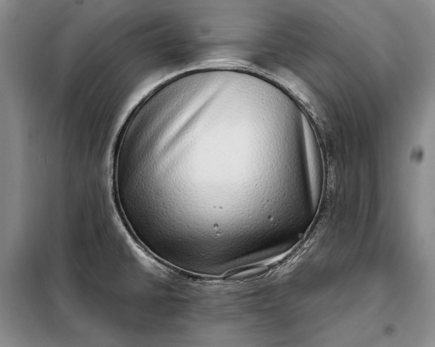 X0000098121430200804181508