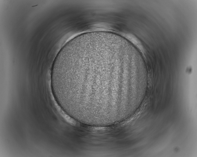 X0000098121431200804181508