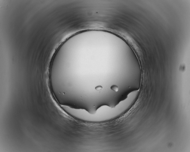 X0000098121432200804181508