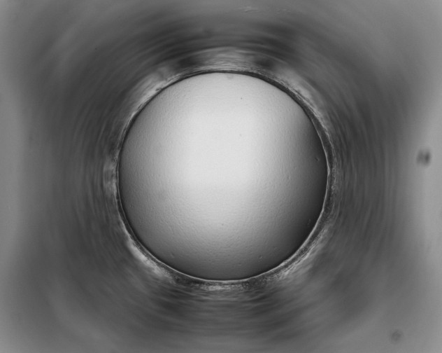 X0000098121433200804181508