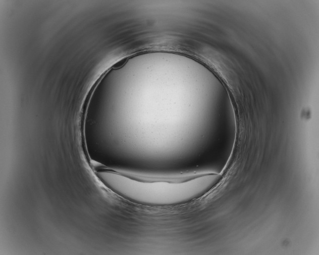 X0000098121434200804181508