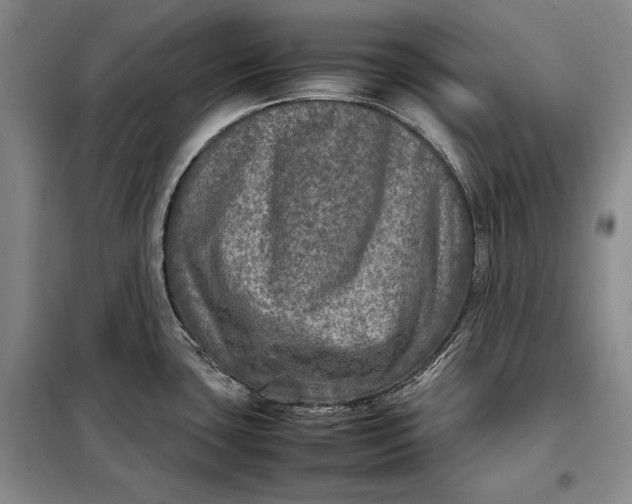 X0000098121435200804181508