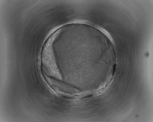 X0000098121436200804181508