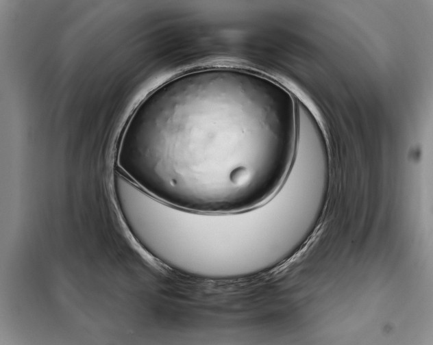 X0000098121437200804181508