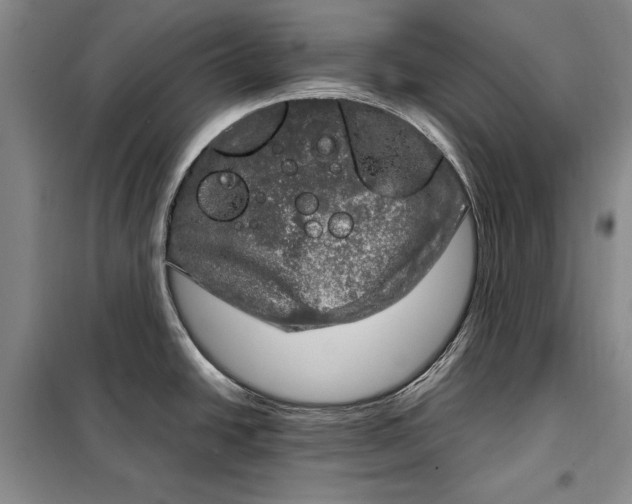 X0000098121438200804181508