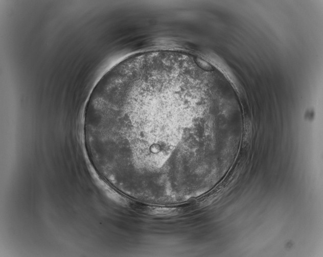 X0000098121439200804181508