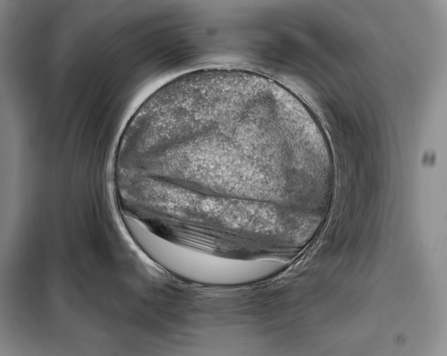 X0000098121440200804181508