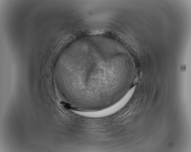 X0000098121441200804181507