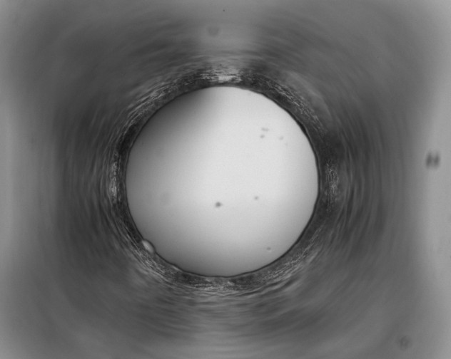 X0000098121442200804181507