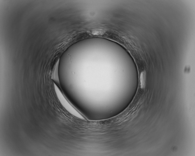 X0000098121443200804181507
