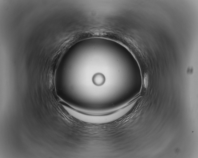 X0000098121444200804181507