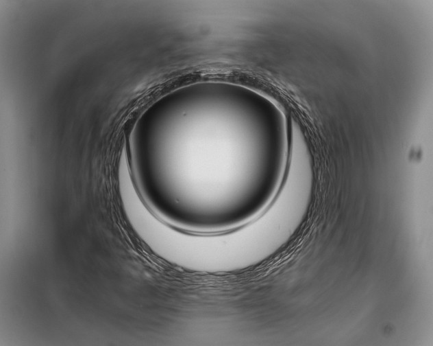 X0000098121445200804181507