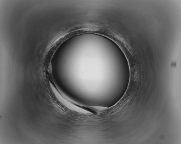 X0000098121448200804181507