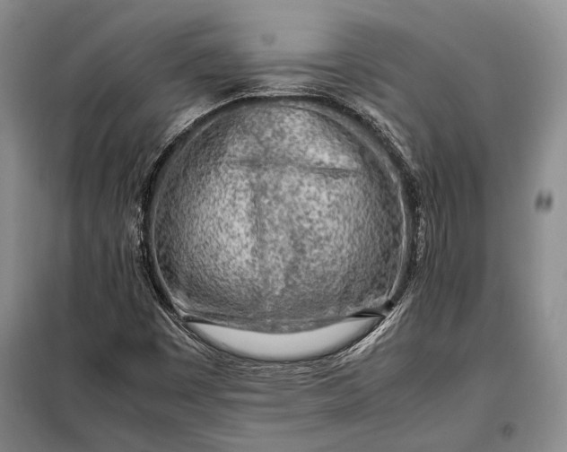X0000098121449200804181507