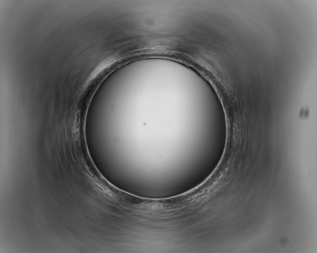 X0000098121450200804181507
