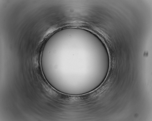 X0000098121451200804181507