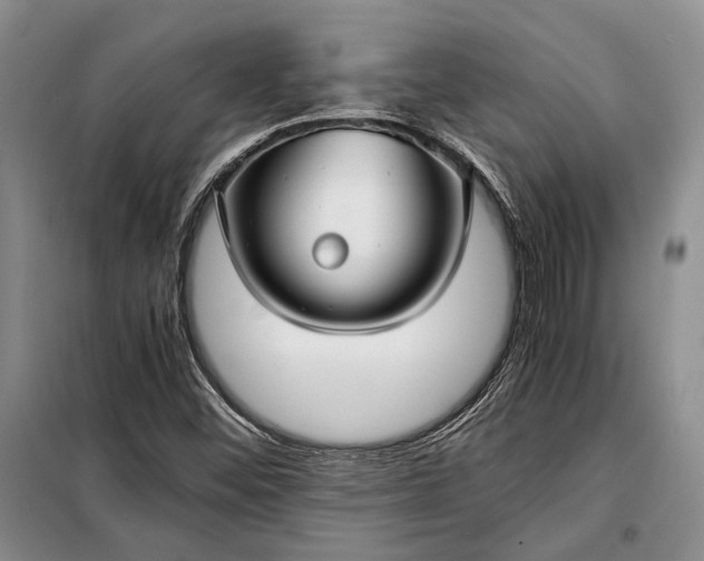 X0000098121452200804181507