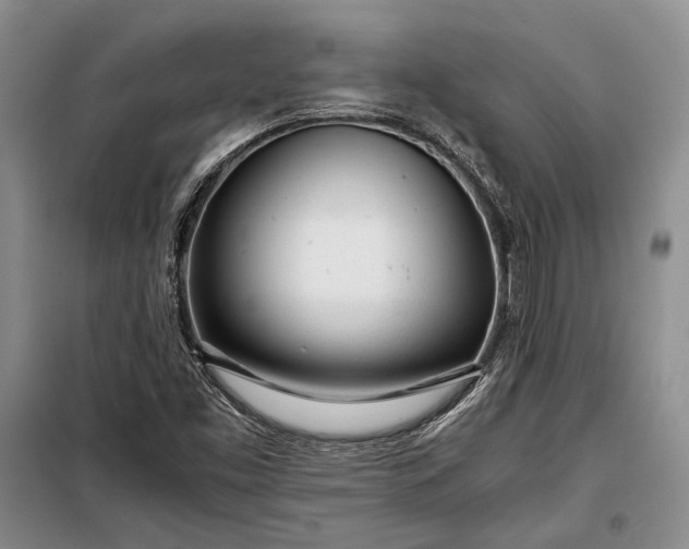 X0000098121453200804181507