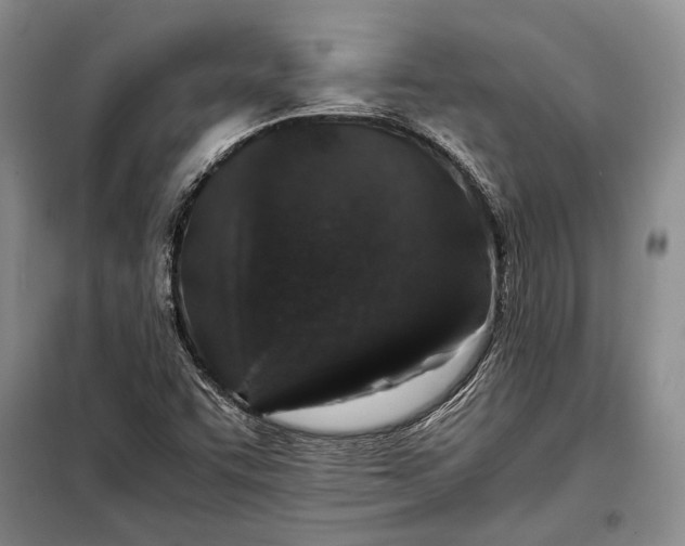 X0000098121455200804181507