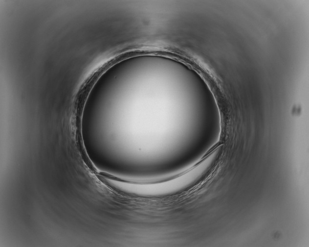 X0000098121456200804181507