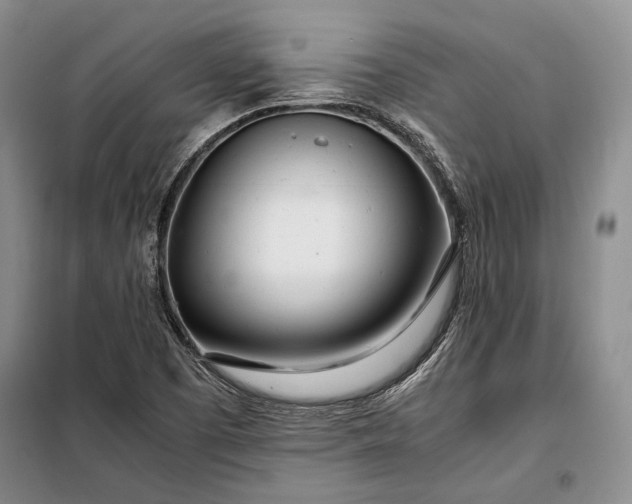 X0000098121457200804181507