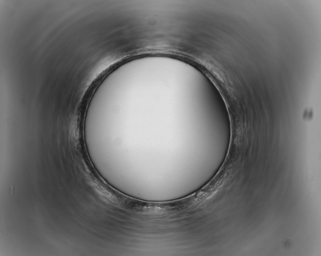 X0000098121458200804181507