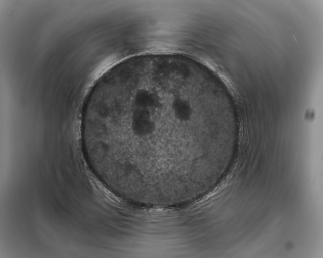 X0000098121459200804181507