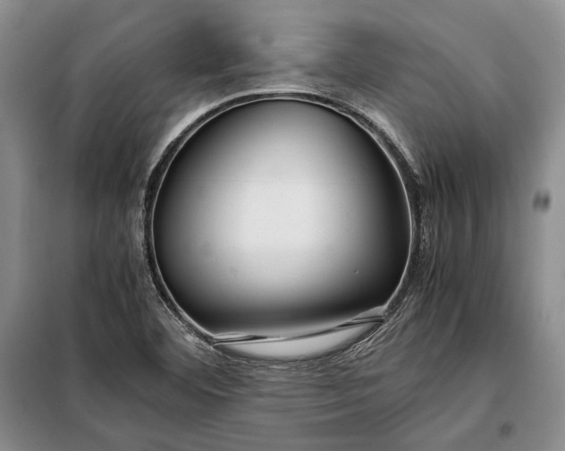 X0000098121460200804181507