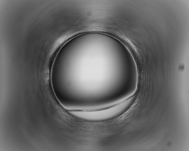 X0000098121461200804181507