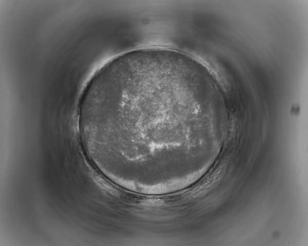 X0000098121462200804181507