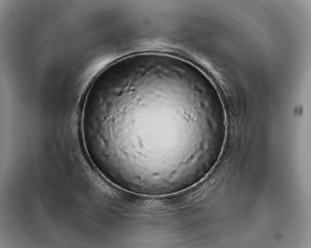 X0000098121463200804181507
