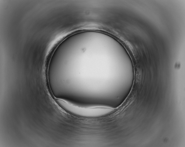 X0000098121464200804181507
