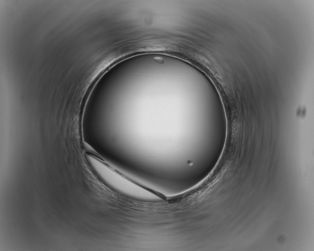 X0000098121465200804181507