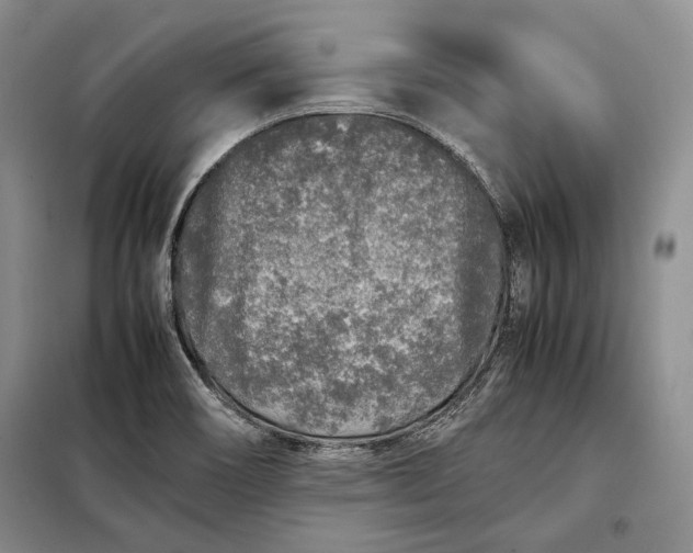 X0000098121466200804181507