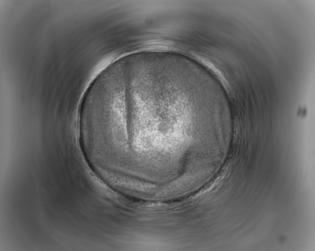 X0000098121467200804181507