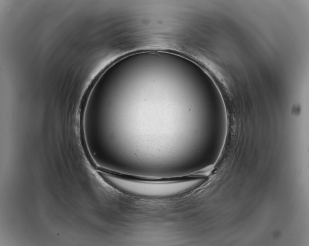 X0000098121468200804181507