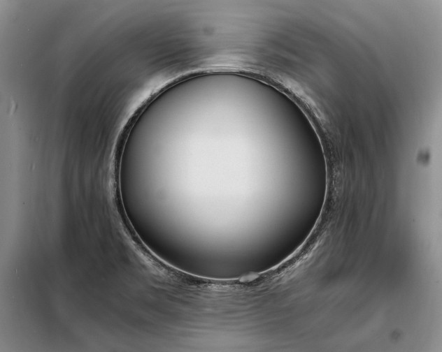 X0000098121469200804181507