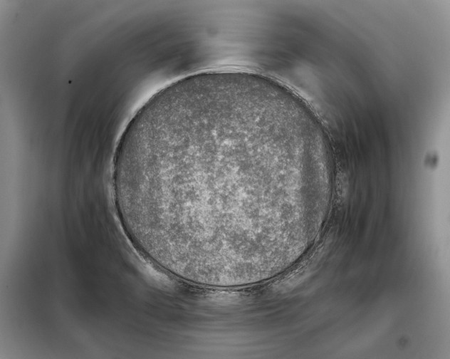 X0000098121470200804181507