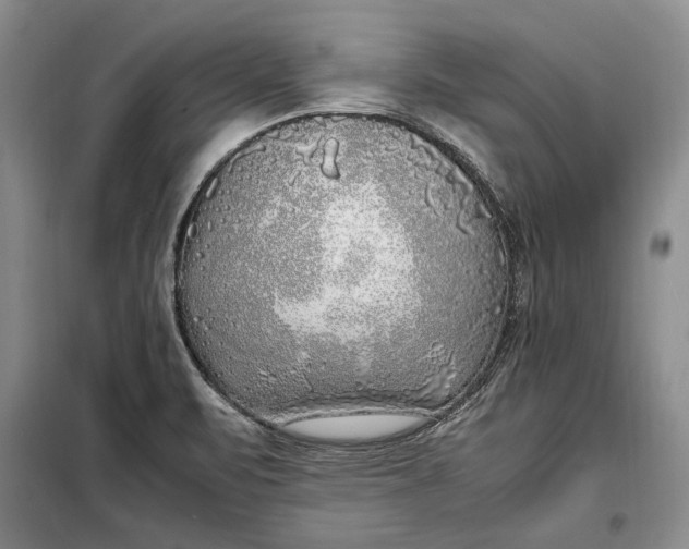 X0000098121471200804181507