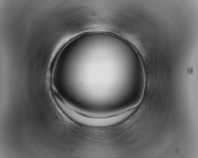 X0000098121472200804181507