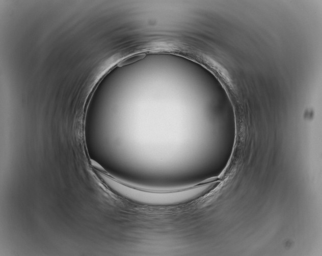 X0000098121473200804181507