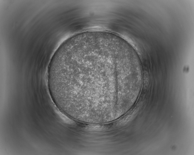X0000098121474200804181507