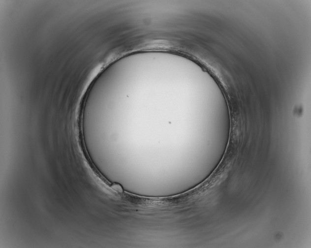 X0000098121475200804181507