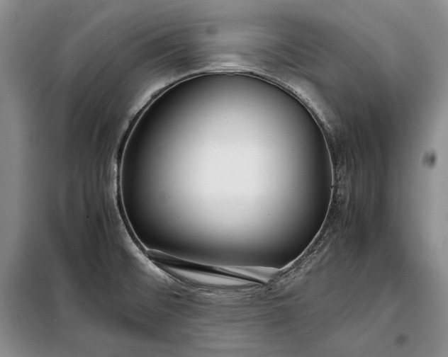 X0000098121476200804181507