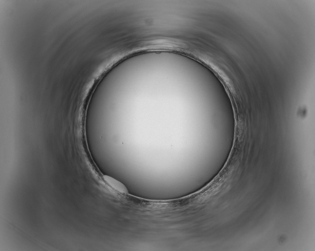 X0000098121477200804181507