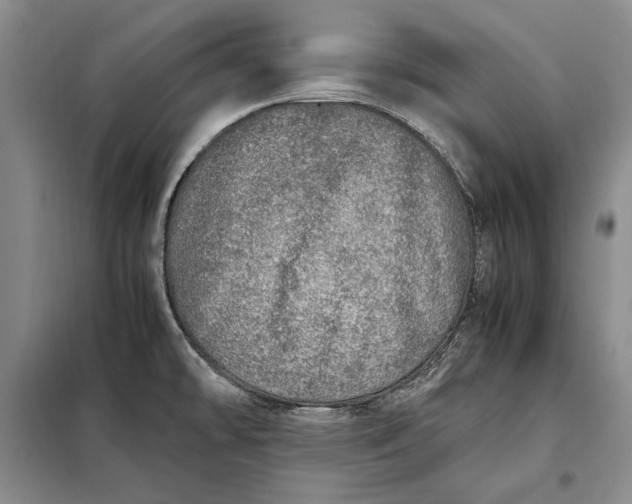 X0000098121478200804181507